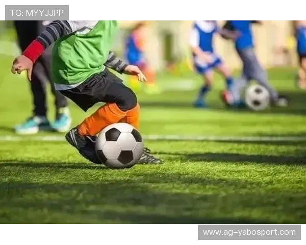 博雅体育官网用户评价与口碑分析，了解其他玩家的真实体验与建议